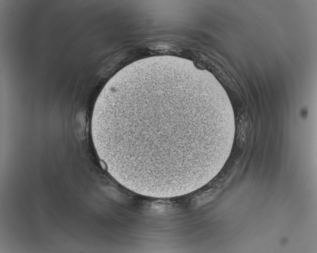 X0000116770420201001141455