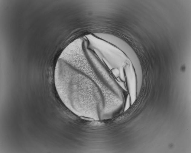 X0000116770421201001141455