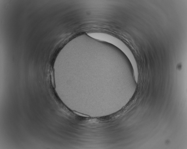 X0000116770423201001141455