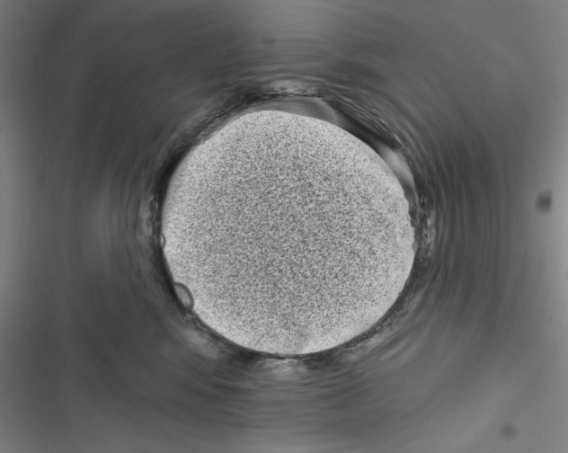 X0000116770424201001141454