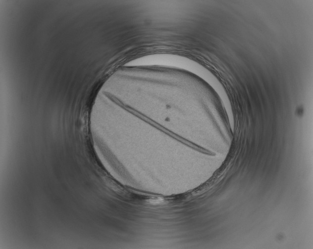 X0000116770425201001141454