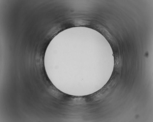 X0000116770426201001141454