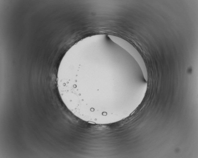 X0000116770427201001141454