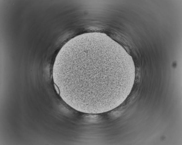 X0000116770428201001141454