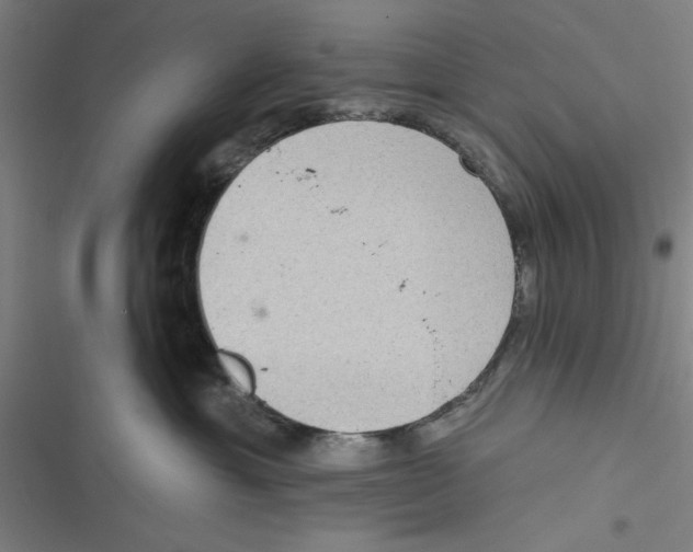X0000116770429201001141454
