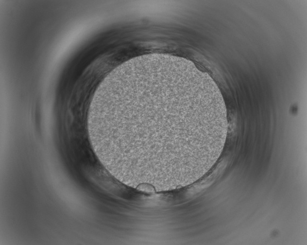 X0000116770430201001141454