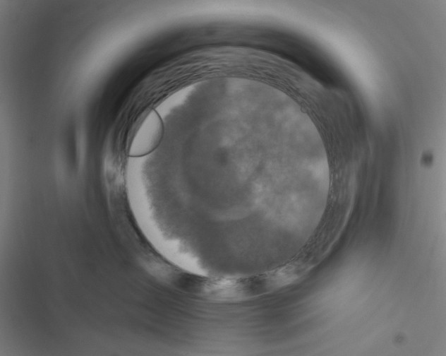 X0000116770431201001141454