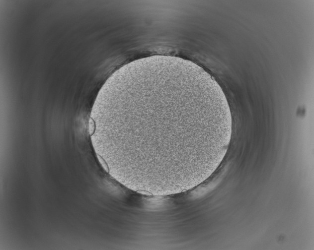 X0000116770432201001141454