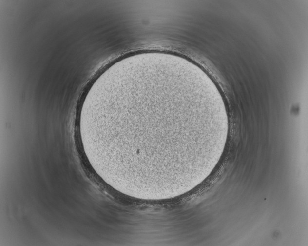 X0000116770434201001141454