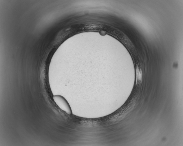 X0000116770435201001141454
