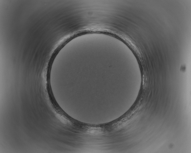 X0000116770438201001141454