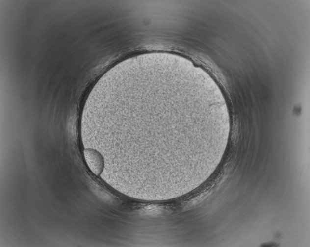 X0000116770441201001141454