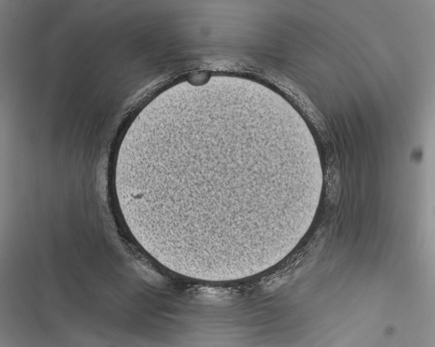 X0000116770442201001141454