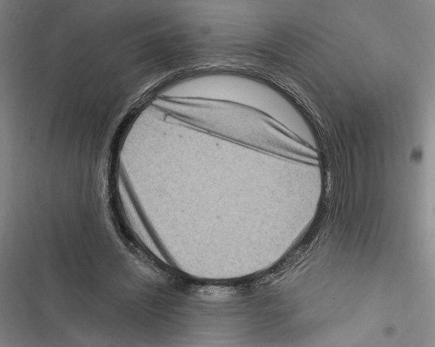 X0000116770444201001141454
