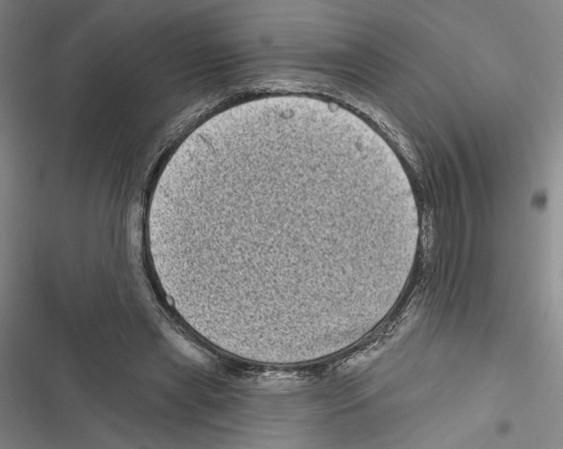 X0000116770445201001141454