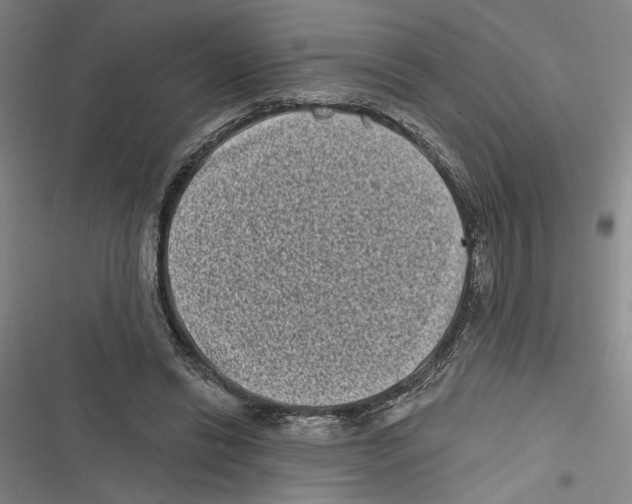 X0000116770446201001141454