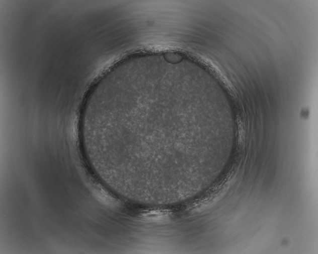 X0000116770447201001141454