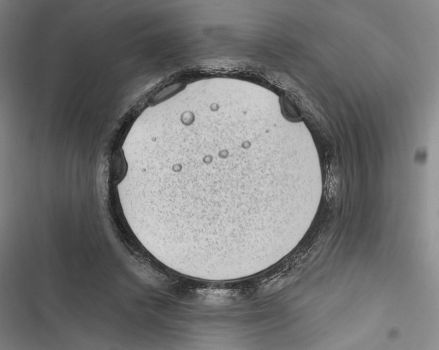 X0000116770448201001141454