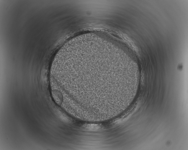 X0000116770449201001141454