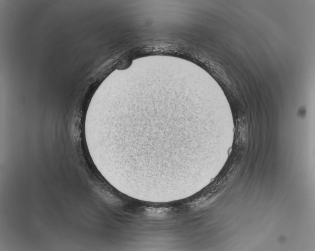 X0000116770450201001141454