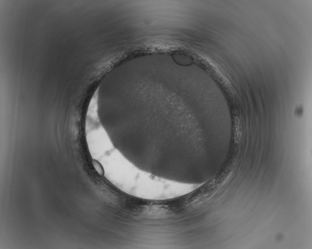 X0000116770451201001141454
