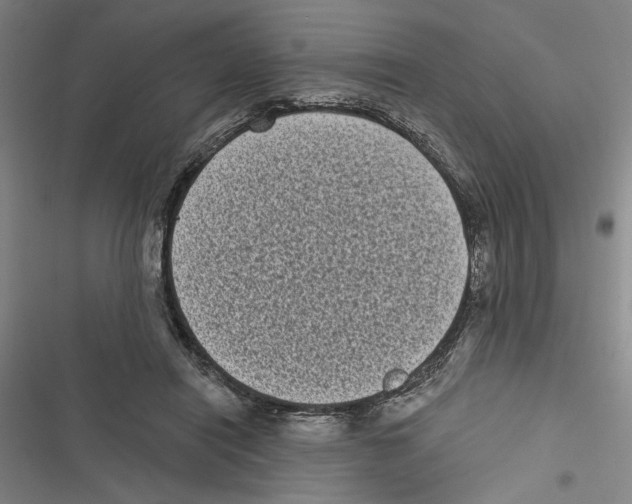 X0000116770454201001141454