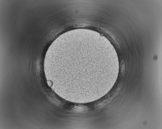 X0000116770455201001141454