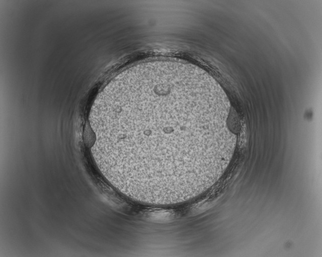 X0000116770456201001141454
