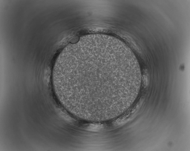 X0000116770458201001141454