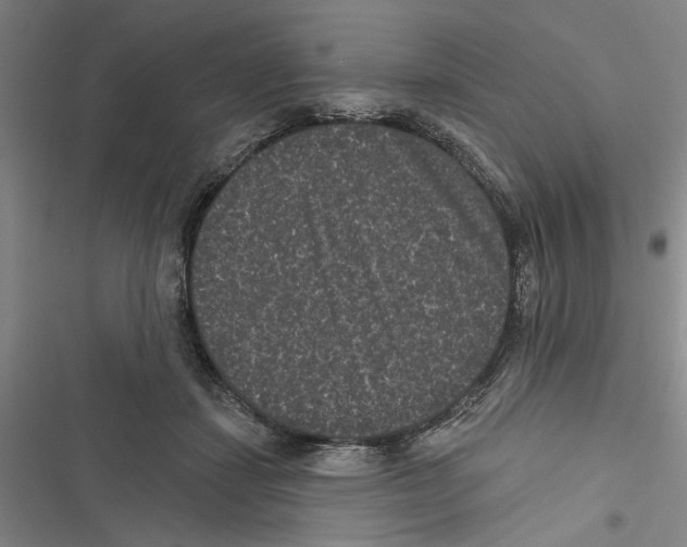 X0000116770459201001141454