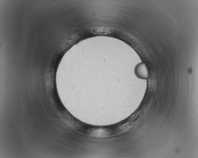 X0000116770460201001141454