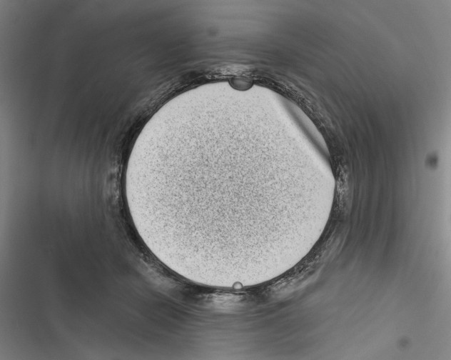 X0000116770462201001141454