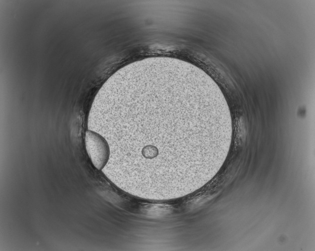 X0000116770463201001141454