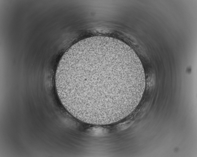 X0000116770464201001141454