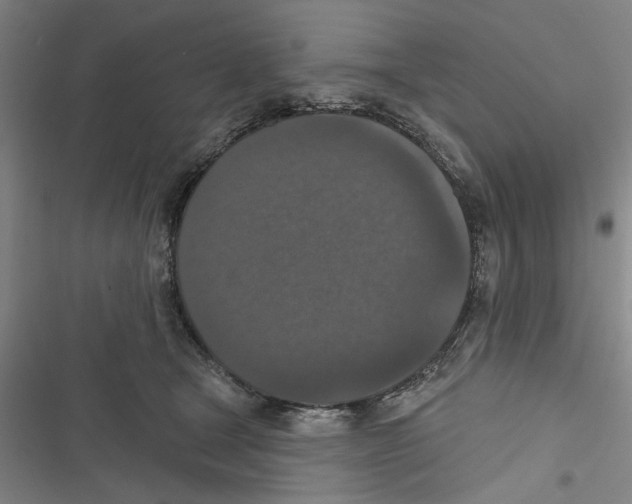 X0000116770465201001141454