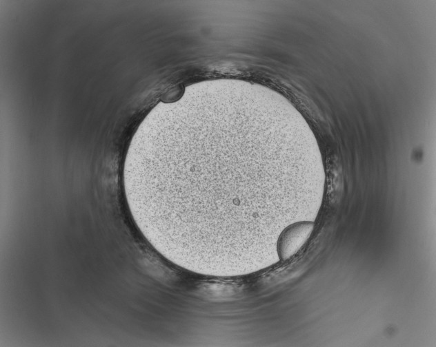 X0000116770466201001141454