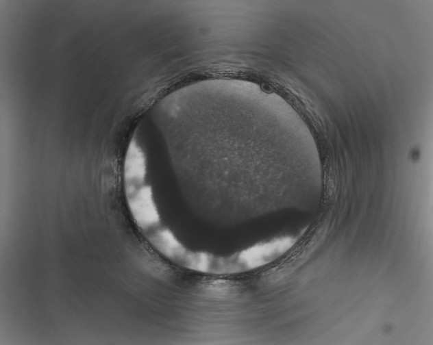 X0000116770467201001141454