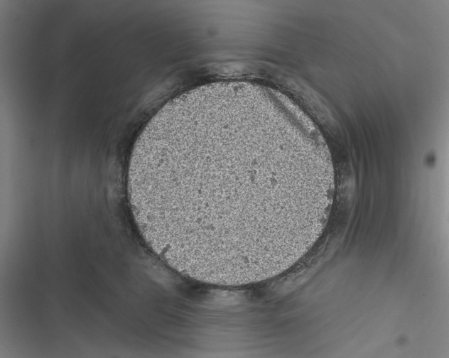X0000116770469201001141454