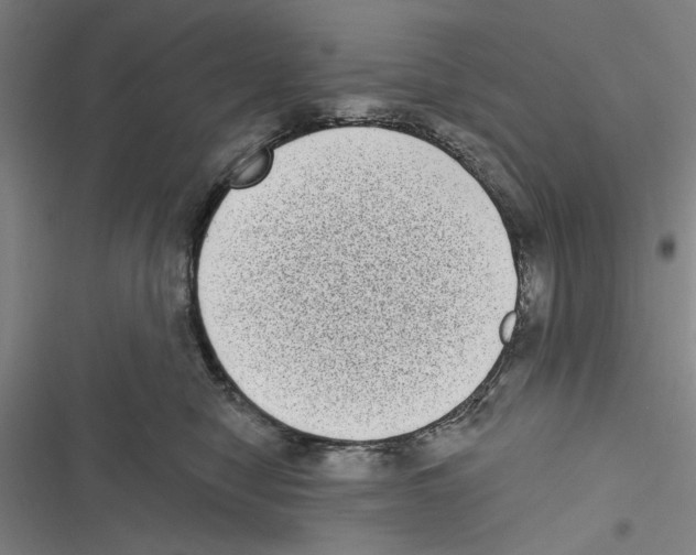 X0000116770470201001141454
