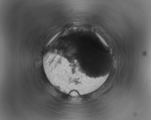 X0000116770471201001141454