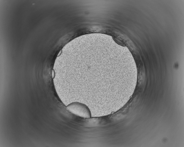 X0000116770473201001141454
