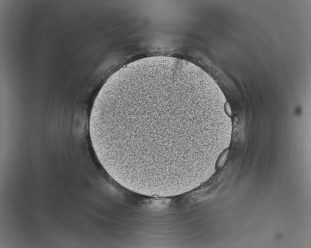X0000116770474201001141454