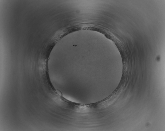 X0000116770475201001141454