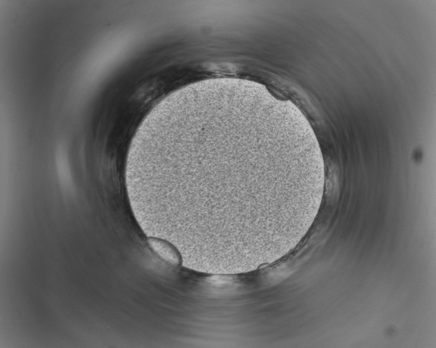 X0000116770477201001141454