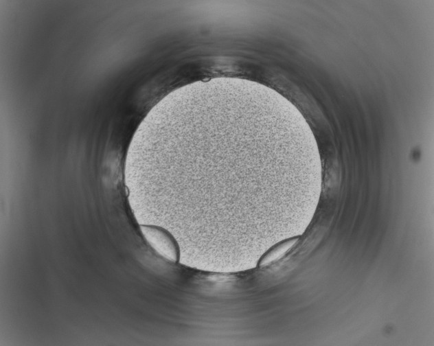 X0000116770478201001141454