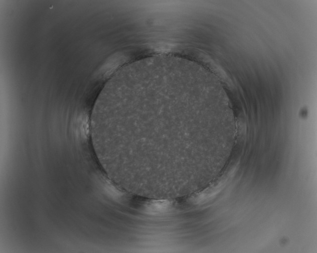 X0000116770479201001141454