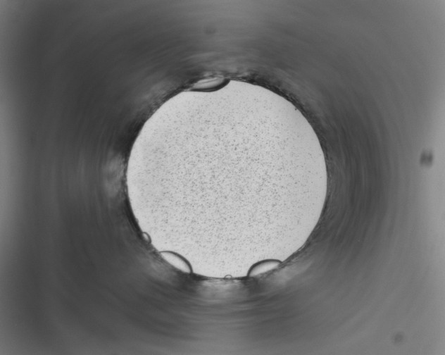 X0000116770480201001141454