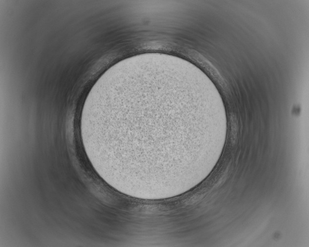 X0000116770482201001141454