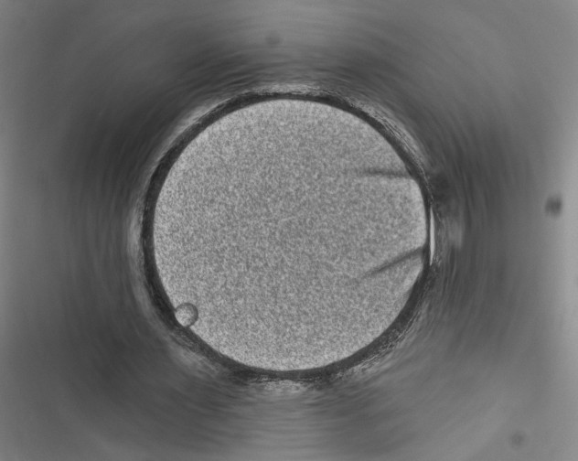 X0000116770483201001141454