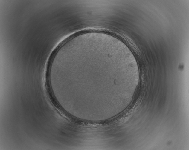 X0000116770484201001141454